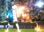 Scout迎来七赛季出色发挥，掘金观众热烈欢呼！观众掌声雷动